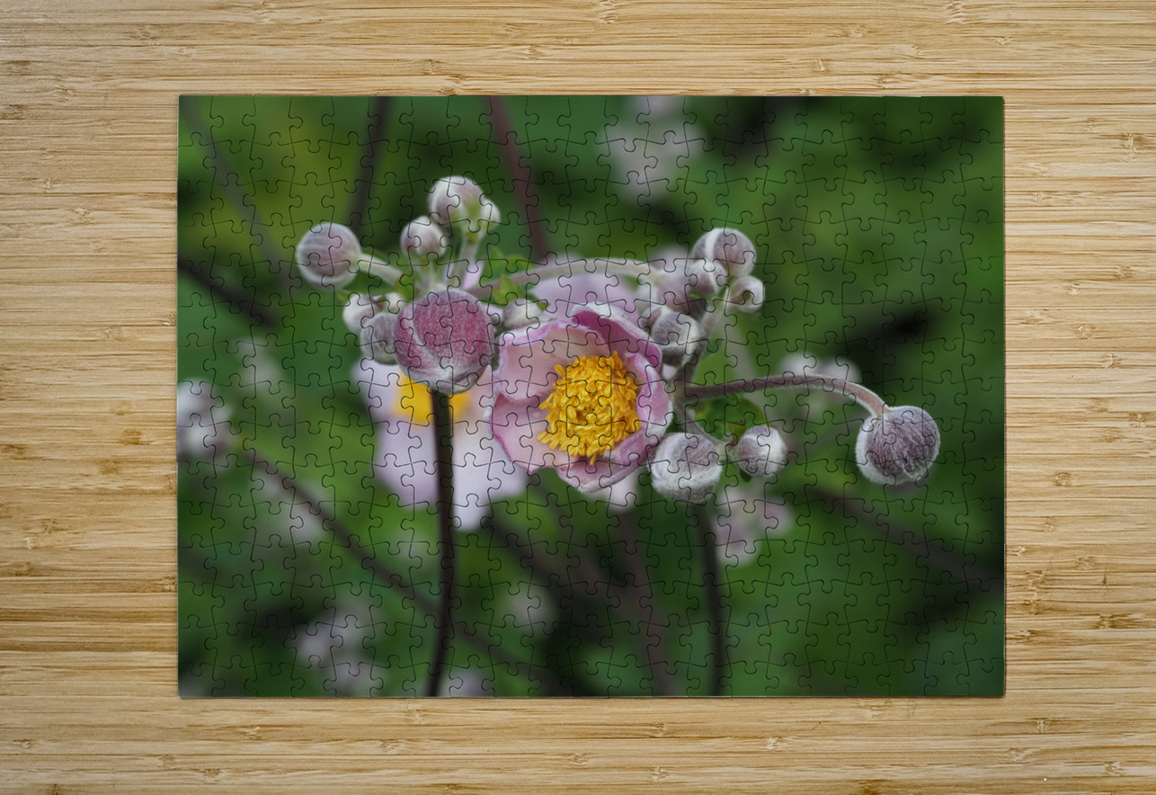Japanese Thimbleweed Suzanne Bonin Puzzle printing