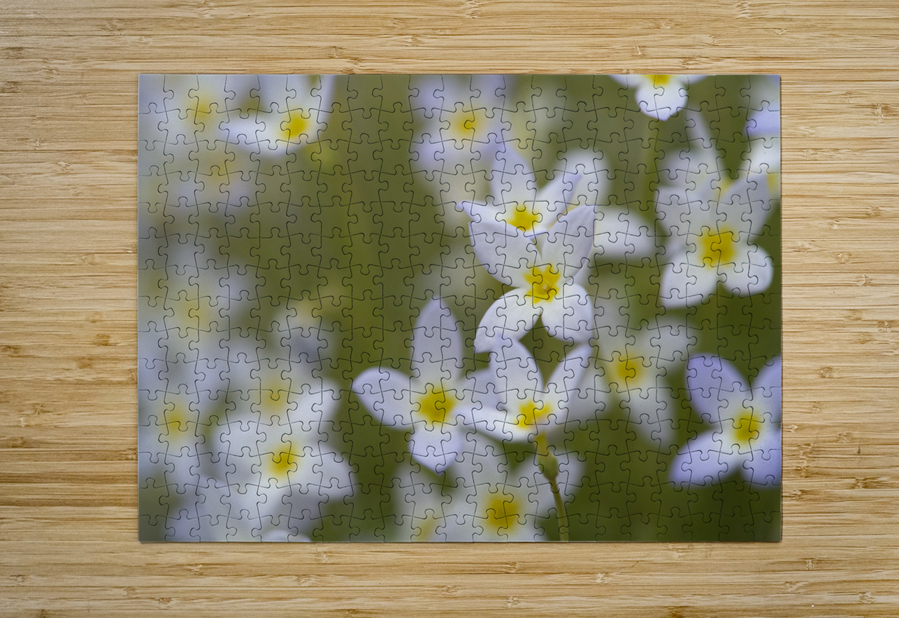 Pretty Ladies Suzanne Bonin Puzzle printing