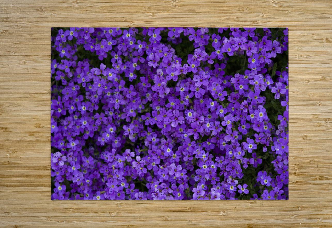 Purple Groundcover Suzanne Bonin Puzzle printing