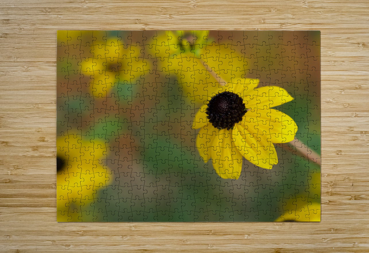 Black Eye Suzanne Bonin Puzzle printing