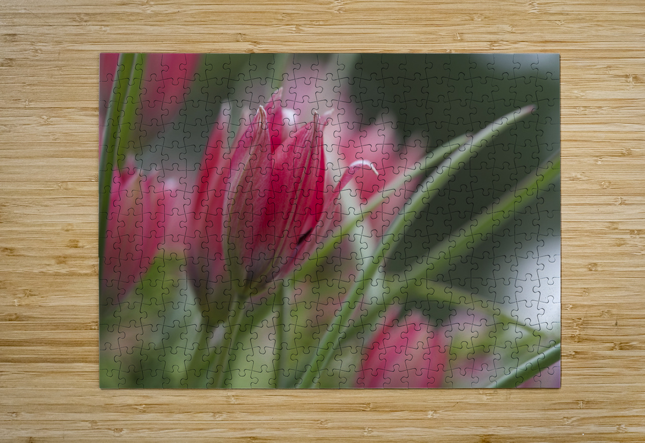 Charming Ladies Suzanne Bonin Puzzle printing