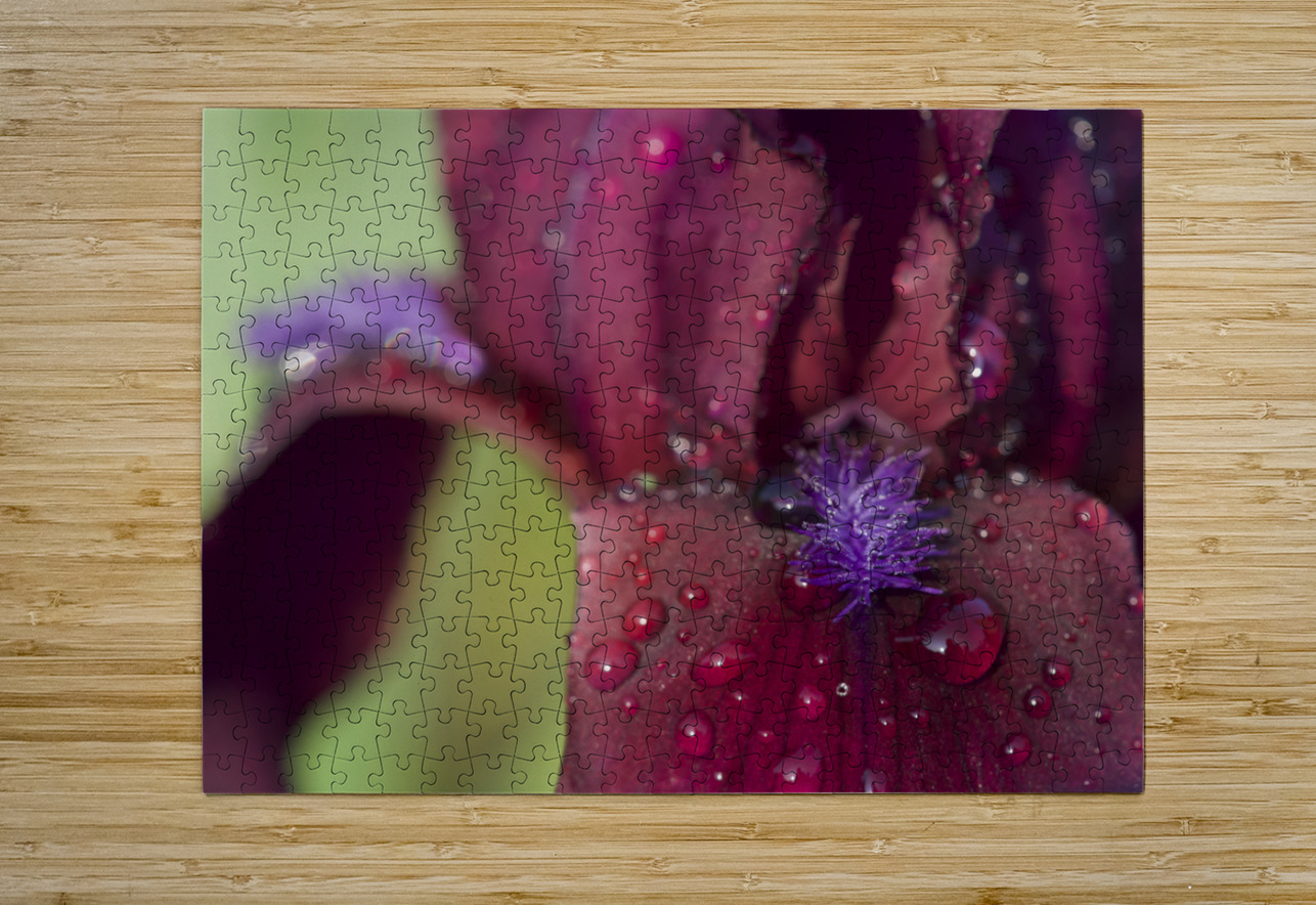 Purple Beard Suzanne Bonin Puzzle printing