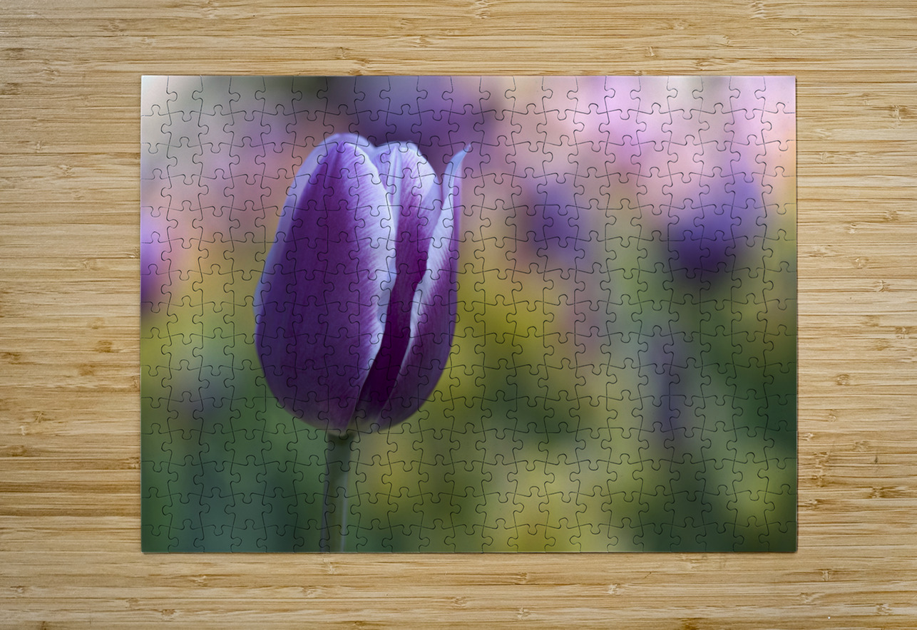 The Purple One Suzanne Bonin Puzzle printing