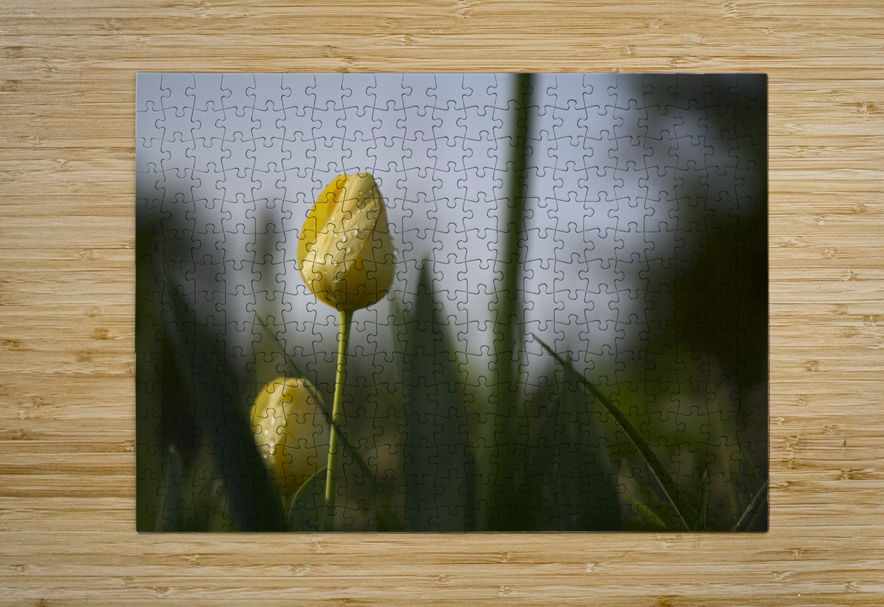 Dreamy Beauty Suzanne Bonin Puzzle printing