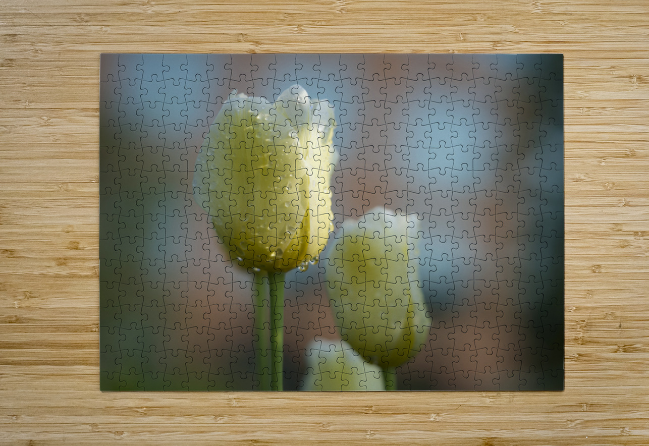 Dreamy Beauties Suzanne Bonin Puzzle printing