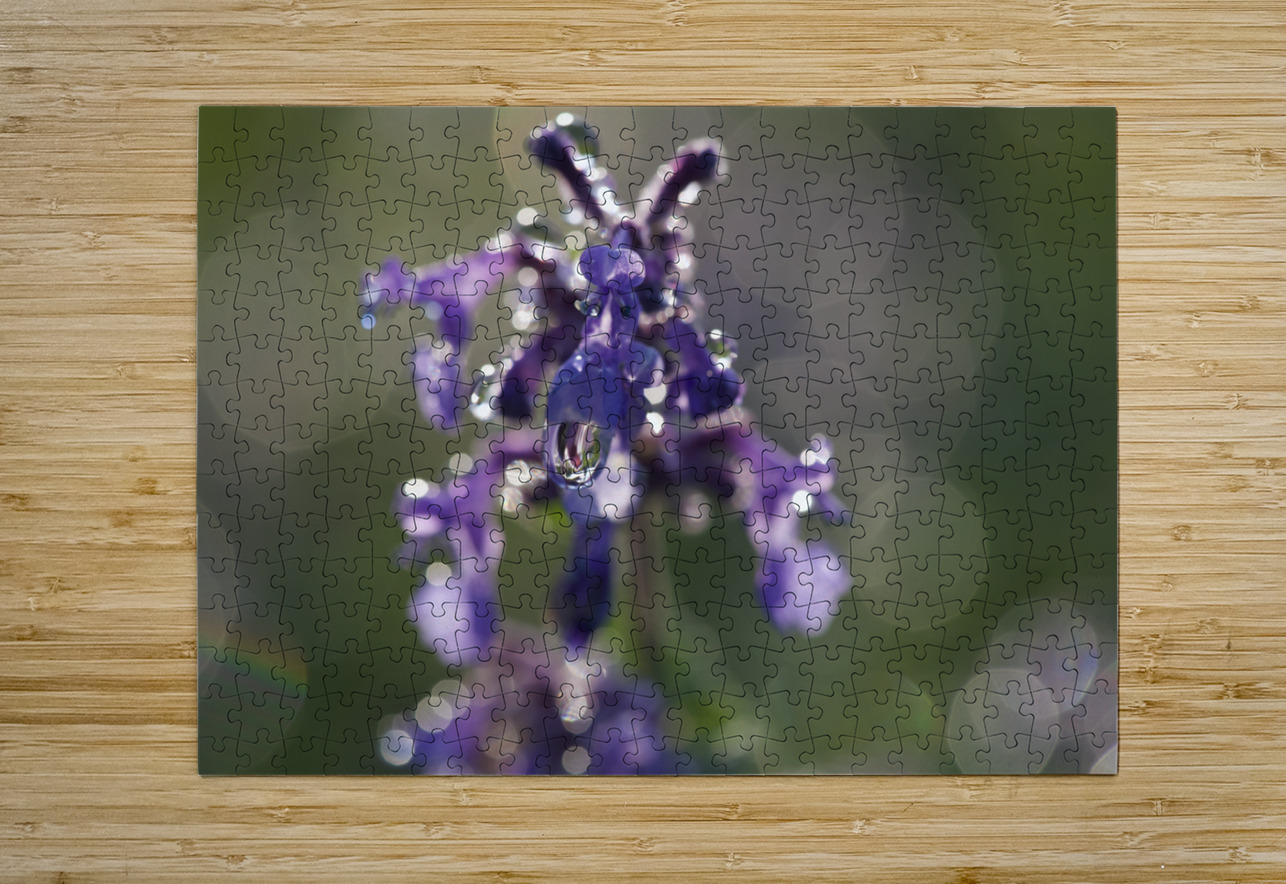 Drops and Bokeh Suzanne Bonin Puzzle printing