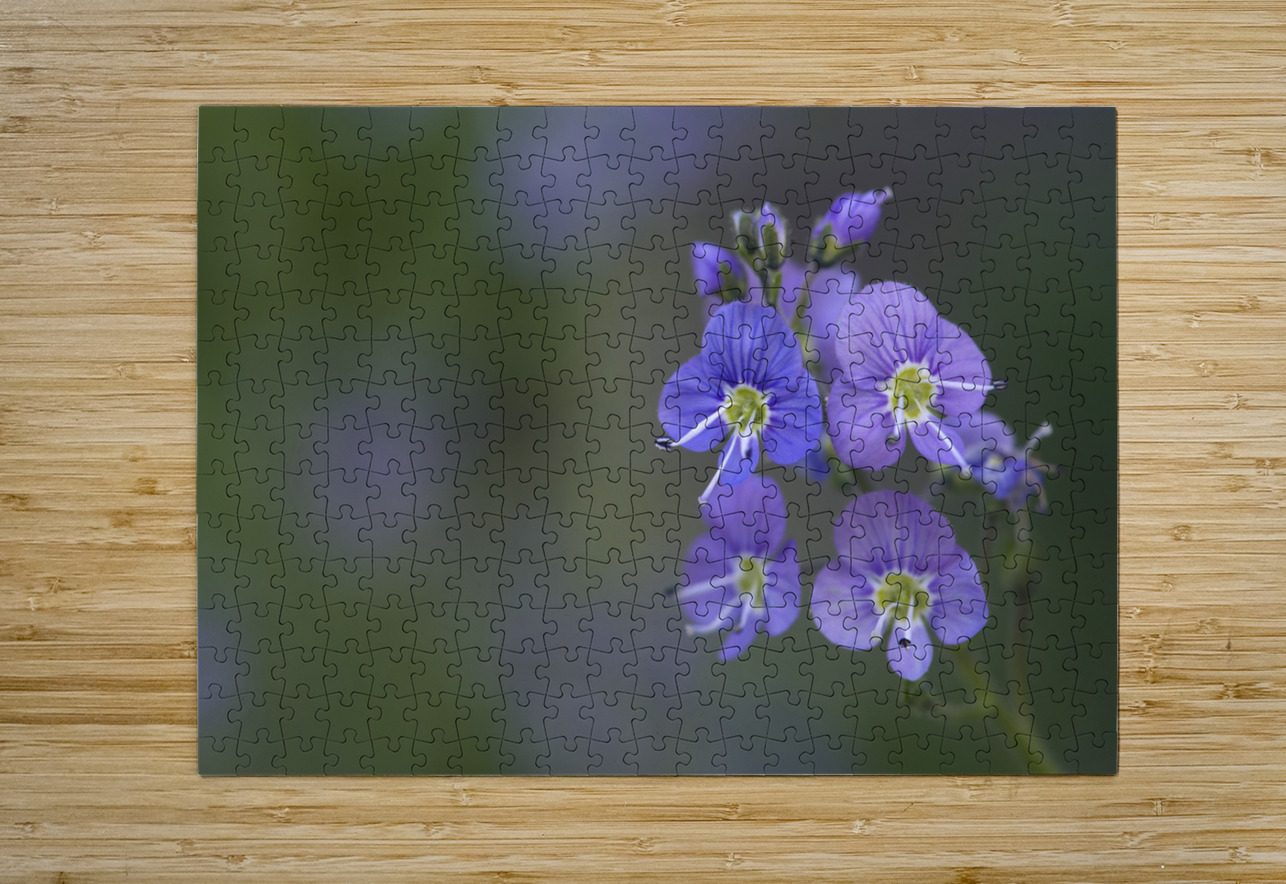 Farewell Suzanne Bonin Puzzle printing