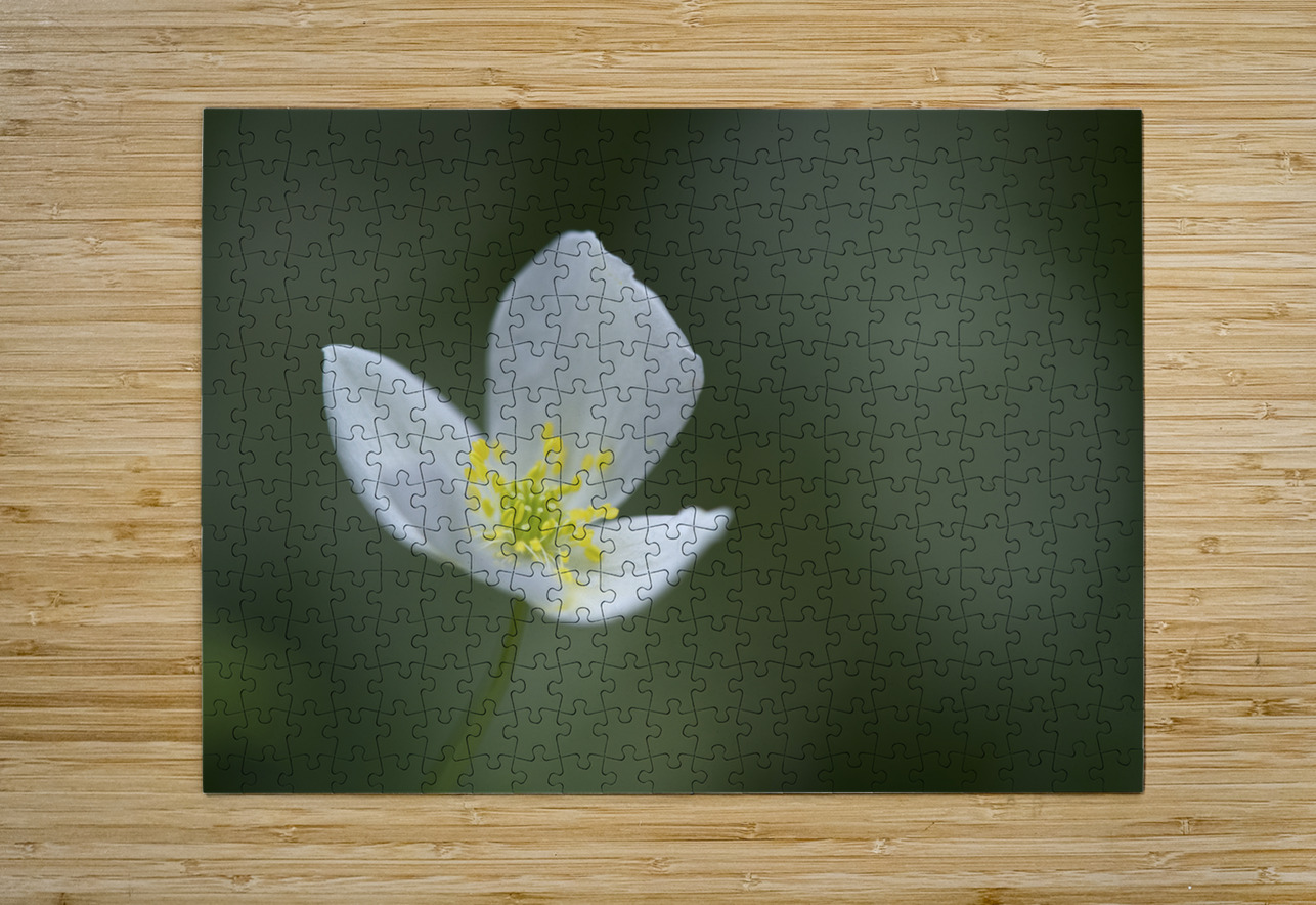 Lady in White Suzanne Bonin Puzzle printing