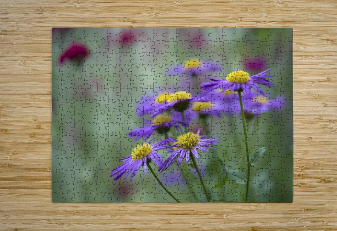 Lovely Ladies Suzanne Bonin Puzzle printing