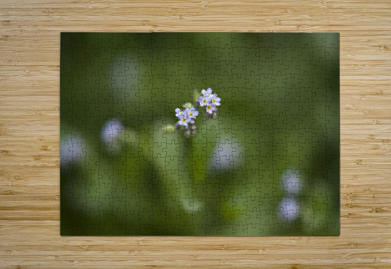 Tiniest Bouquets Suzanne Bonin Puzzle printing