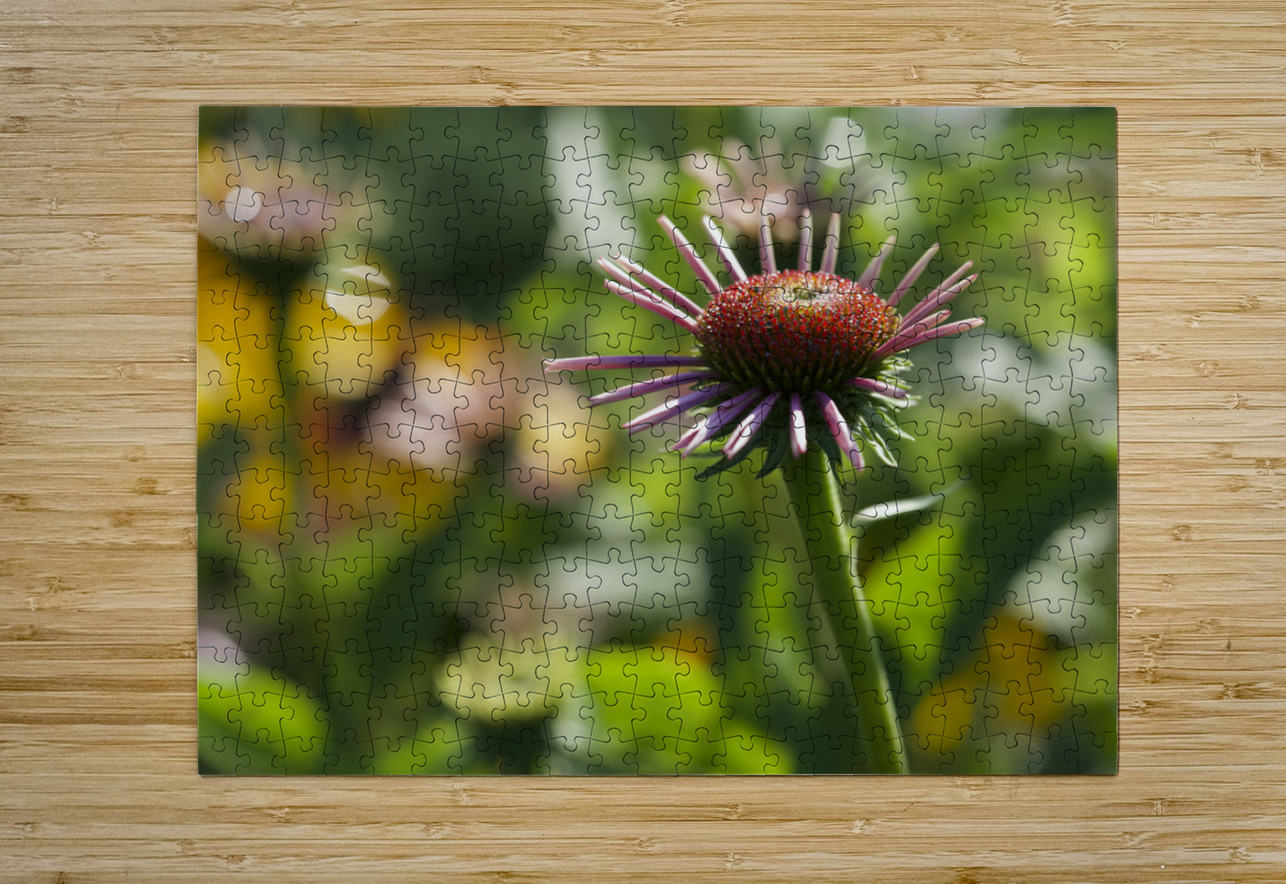 Early Morning Beauty Suzanne Bonin Puzzle printing