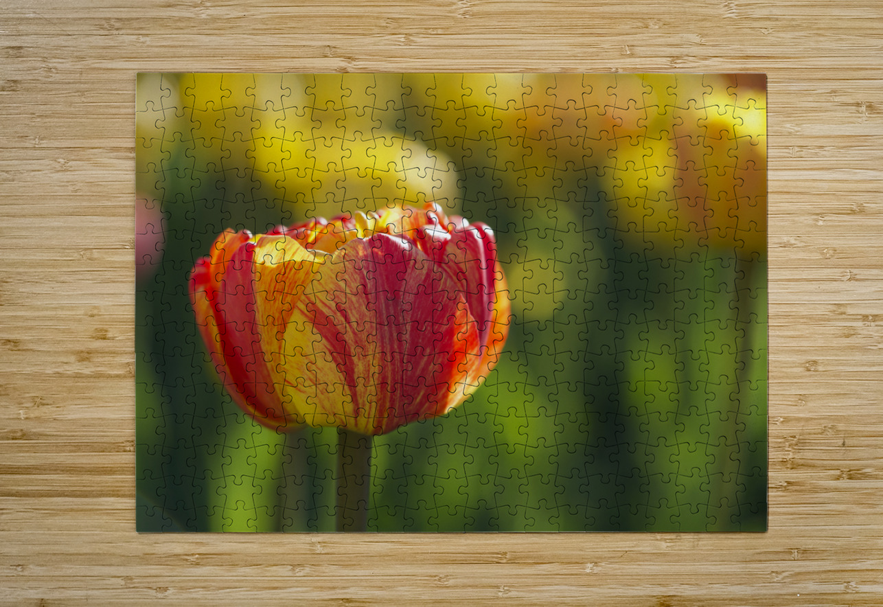 The Lovely One Suzanne Bonin Puzzle printing