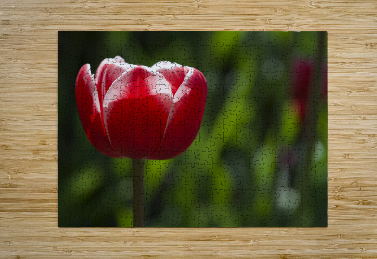 Pretty One Suzanne Bonin Puzzle printing