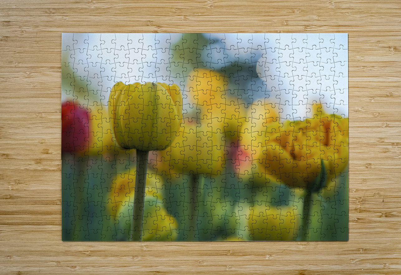 Unique Suzanne Bonin Puzzle printing