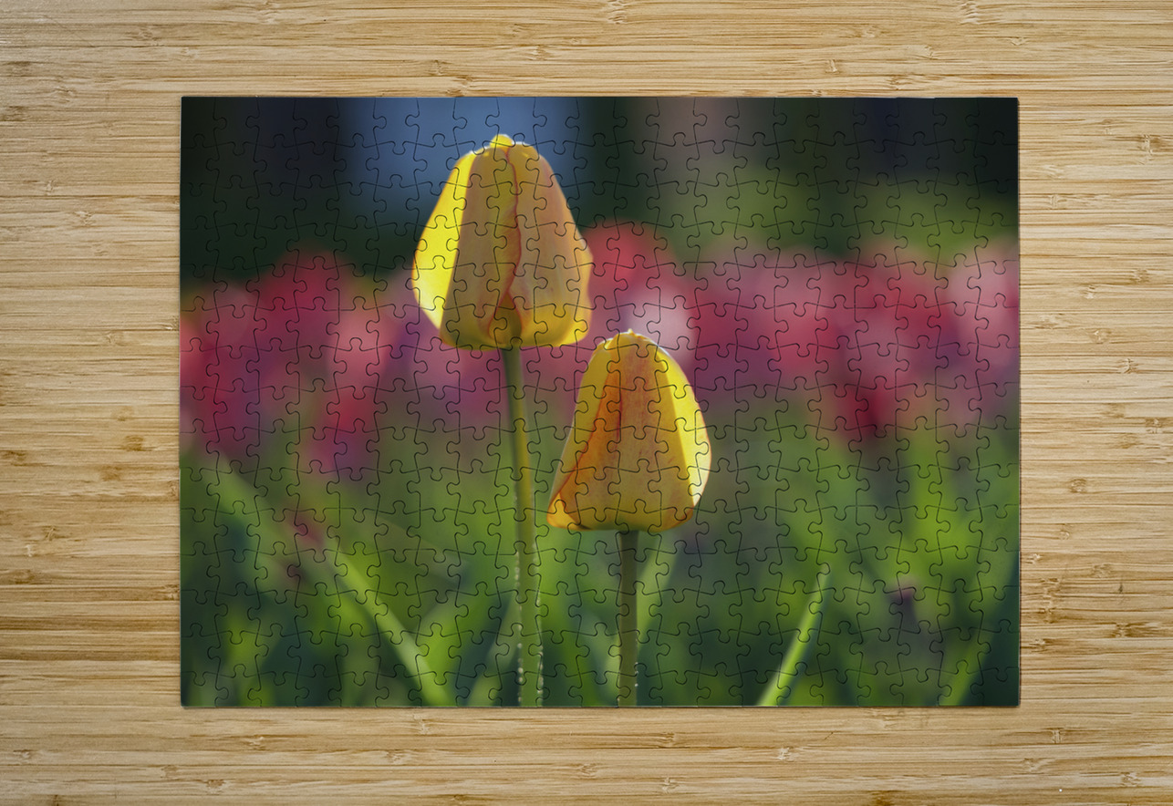 Two of a Kind Suzanne Bonin Puzzle printing