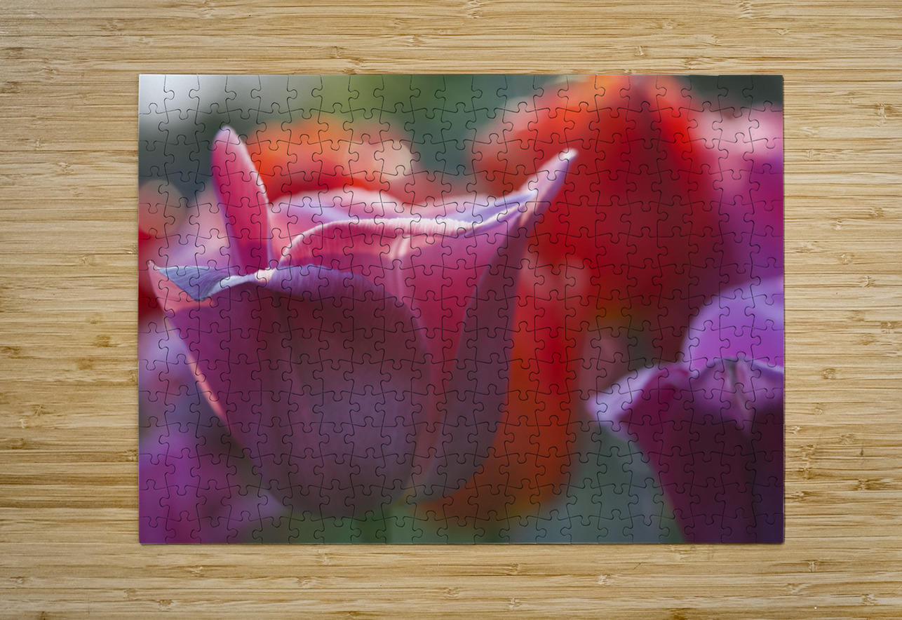 Timid Suzanne Bonin Puzzle printing