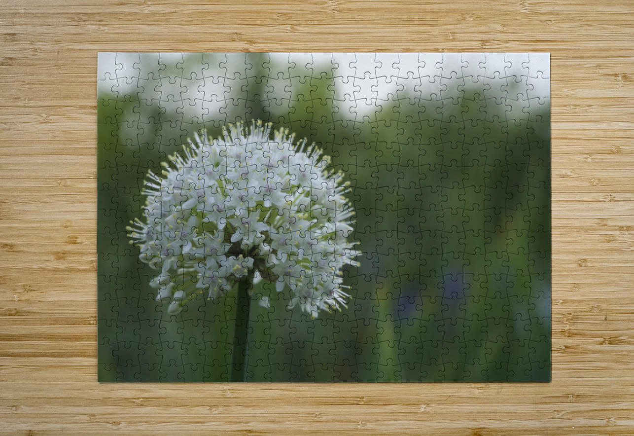 The White One Suzanne Bonin Puzzle printing