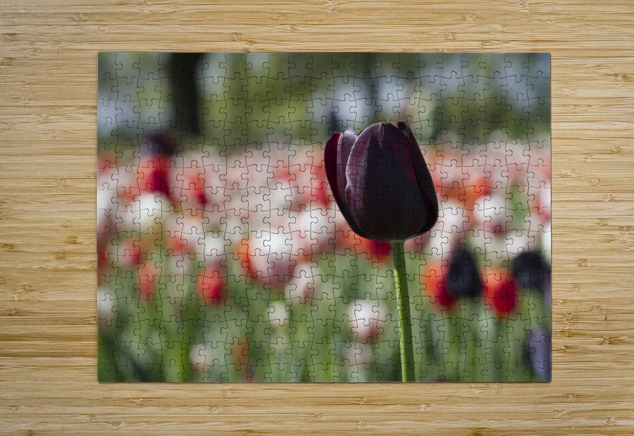 The Queen Suzanne Bonin Puzzle printing