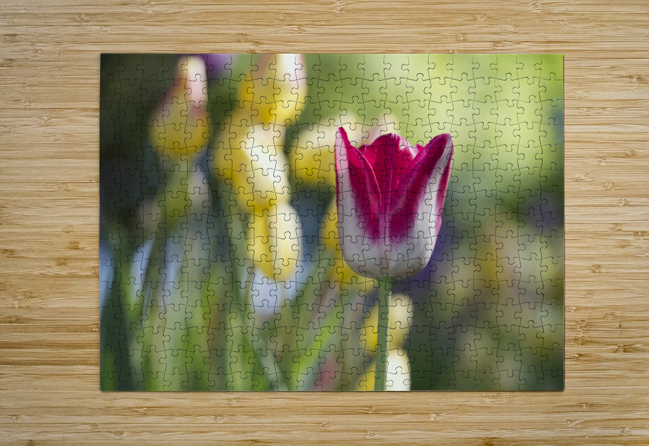 That One Suzanne Bonin Puzzle printing