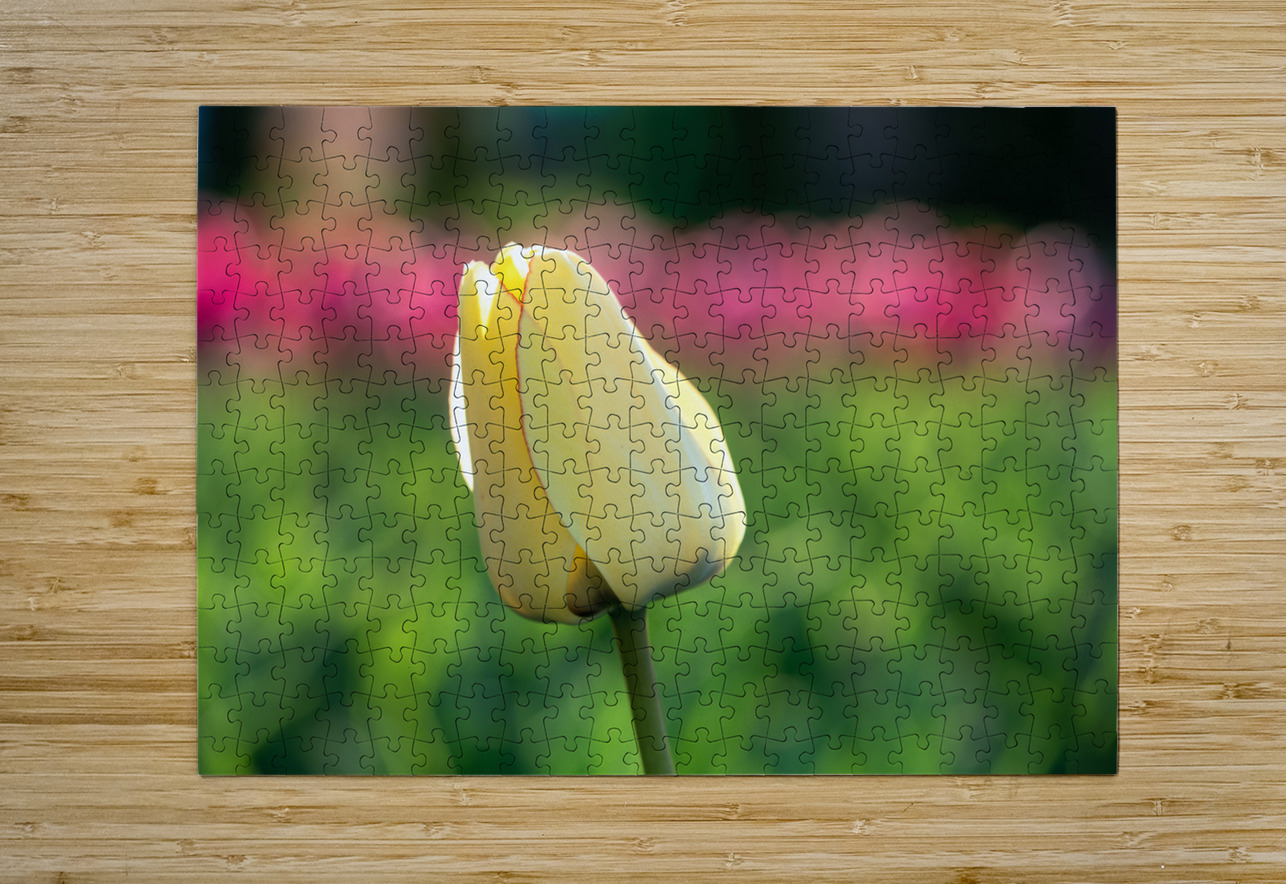 Precious Suzanne Bonin Puzzle printing