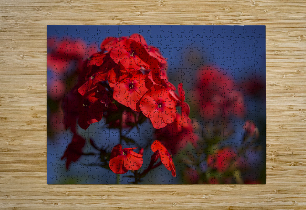 Pretty in Red Suzanne Bonin Puzzle printing