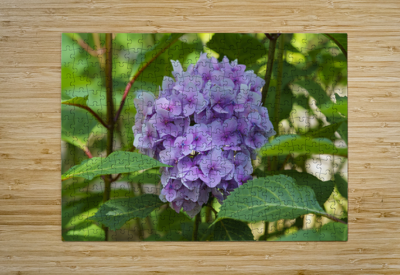 Pretty in Purple Suzanne Bonin Puzzle printing