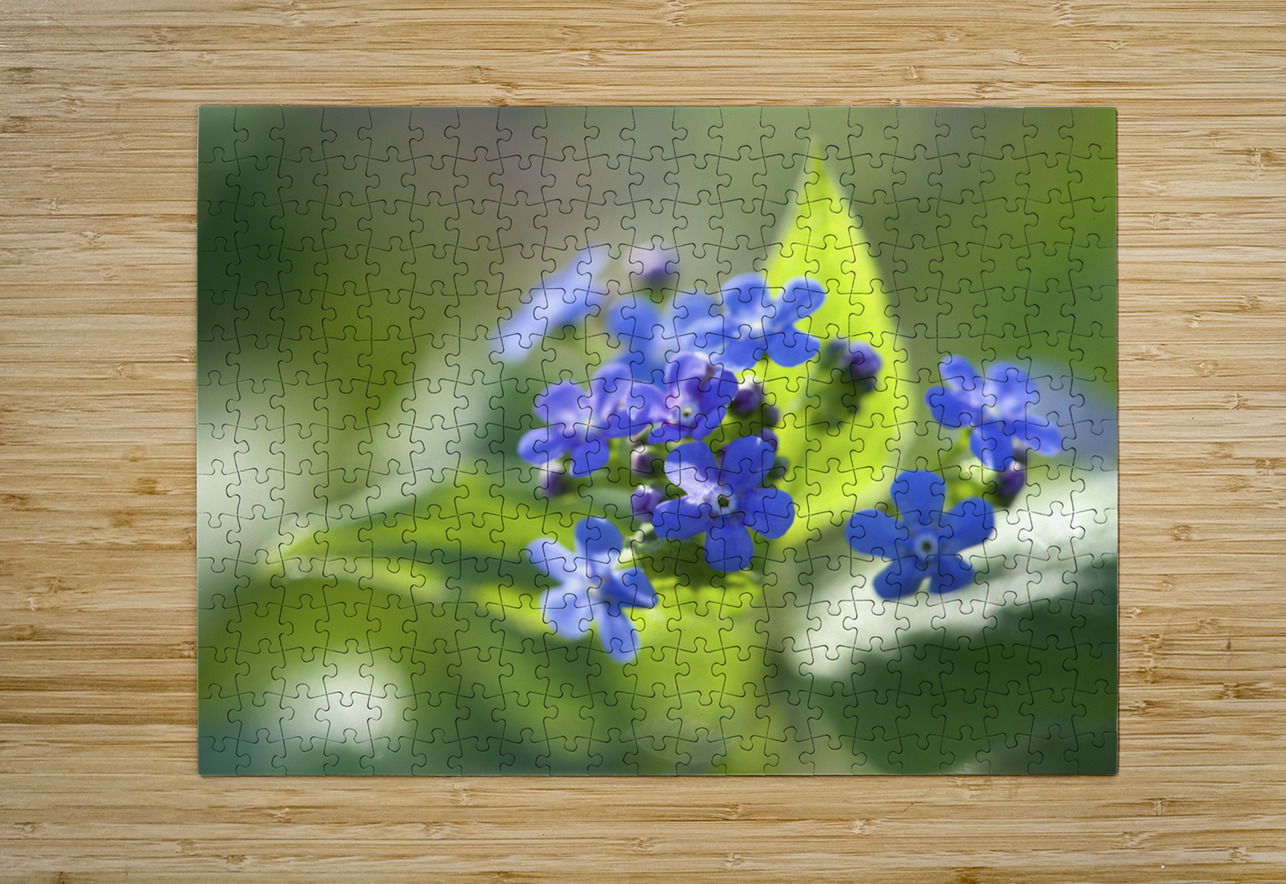 Pretty Ones Suzanne Bonin Puzzle printing