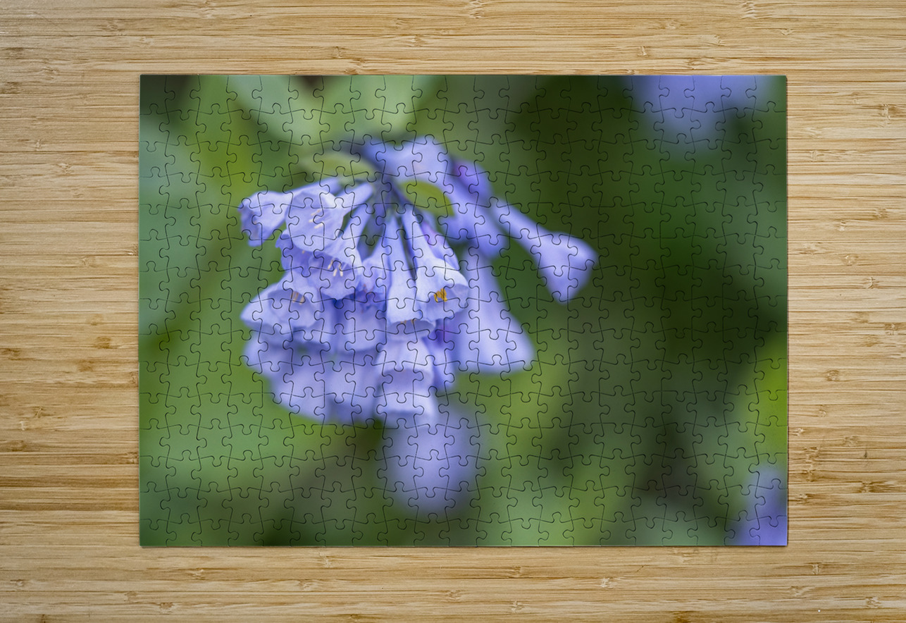 Petites Clochettes Suzanne Bonin Puzzle printing