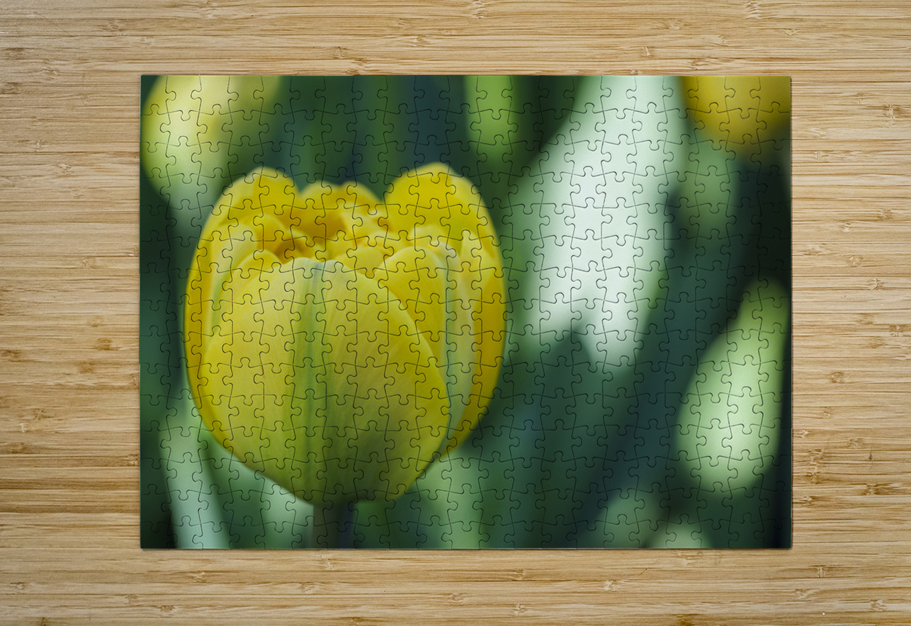Pretty in Yellow Suzanne Bonin Puzzle printing