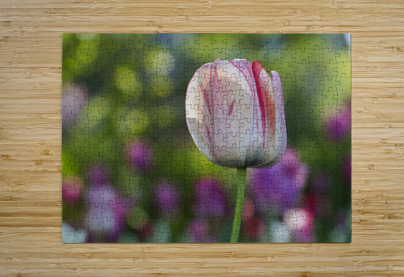 Looking Good Suzanne Bonin Puzzle printing