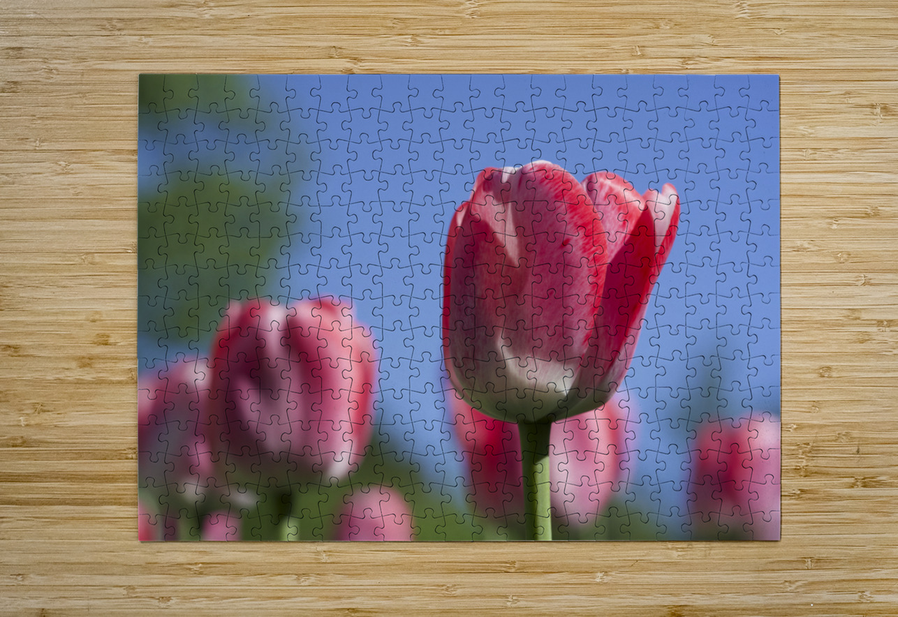 Oh Mother Suzanne Bonin Puzzle printing