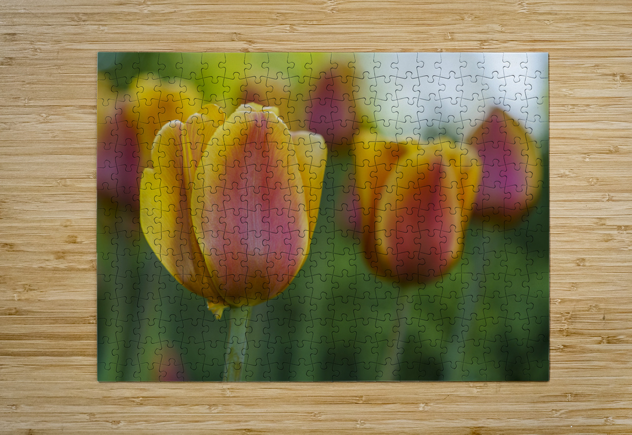 Siblings Suzanne Bonin Puzzle printing