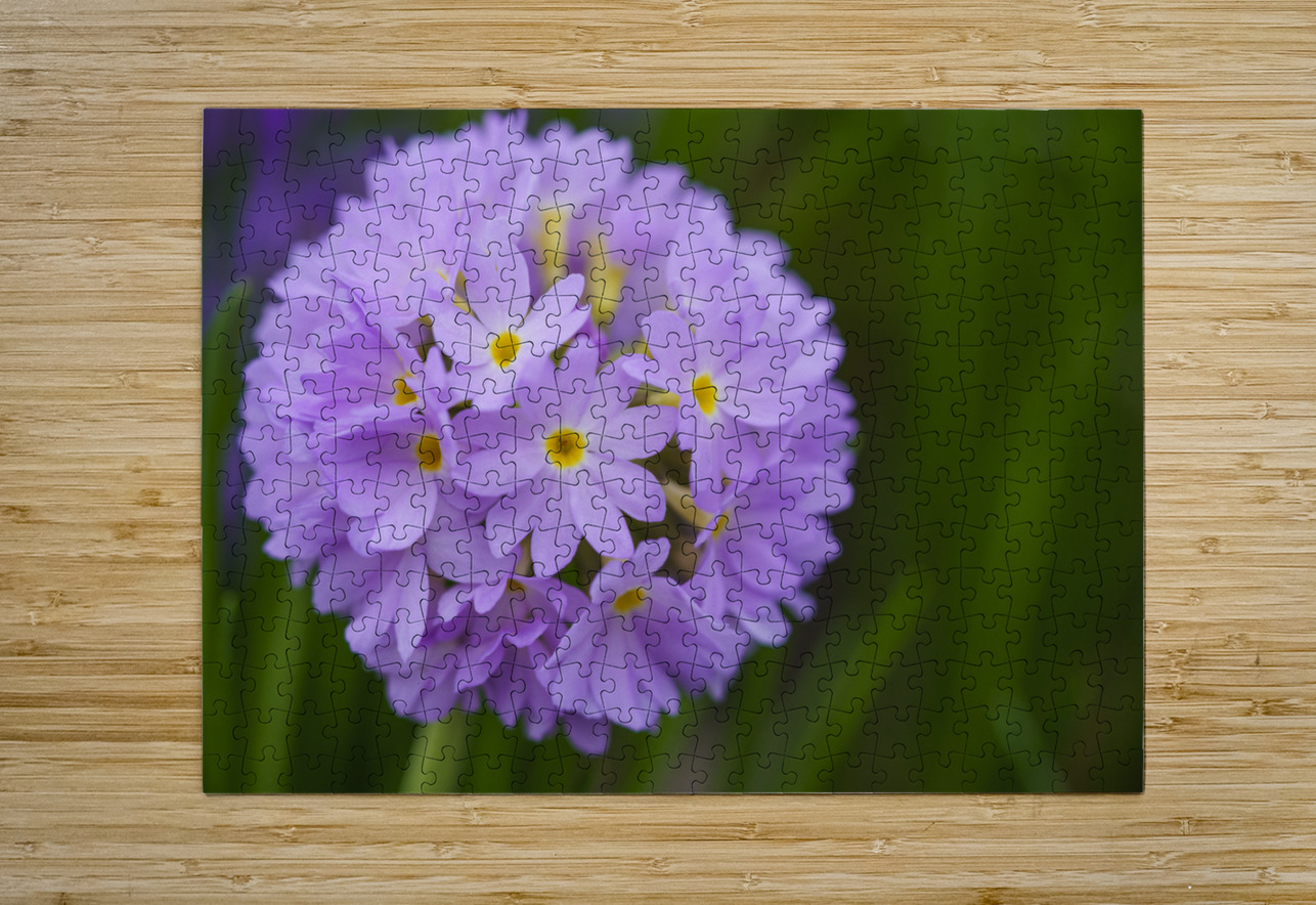 Drumstick Suzanne Bonin Puzzle printing