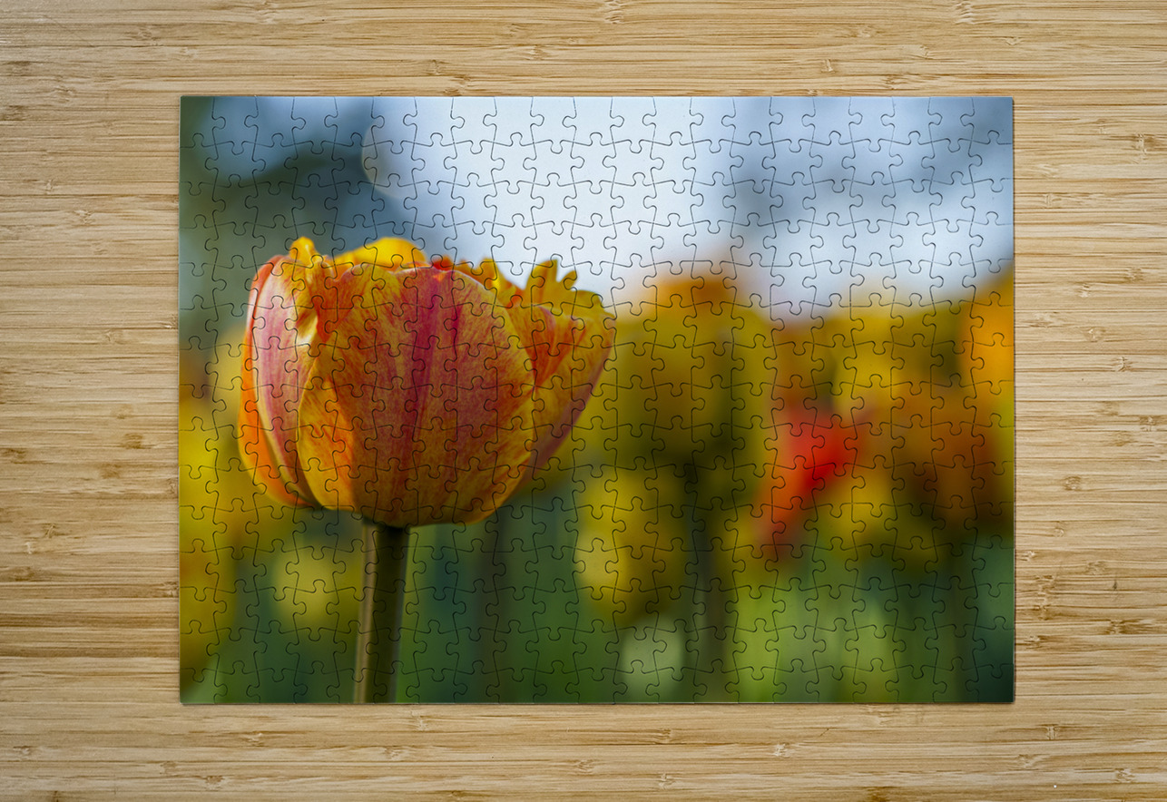 Falling for You Suzanne Bonin Puzzle printing