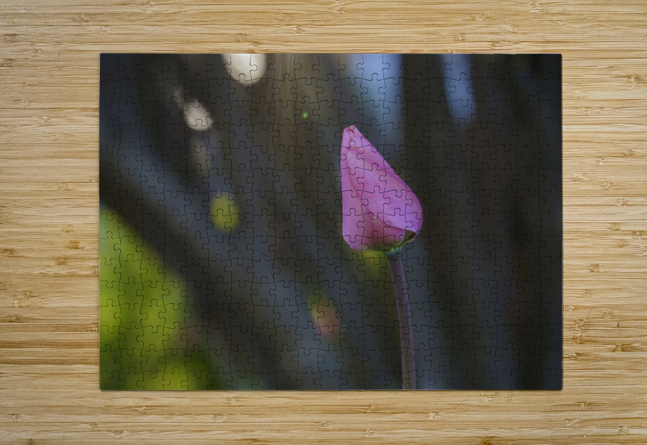 Good Energy Suzanne Bonin Puzzle printing