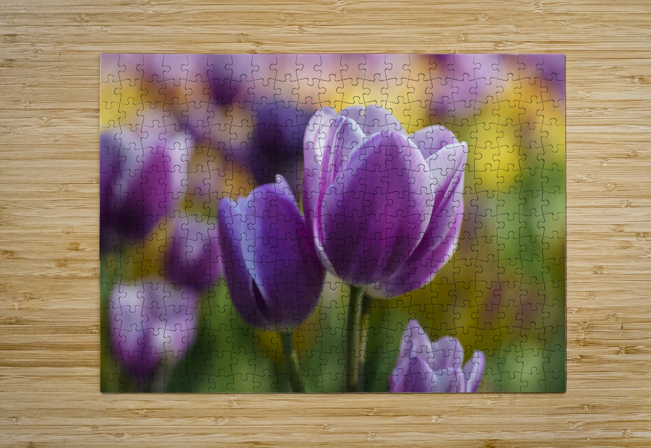 A Touch of Purple Suzanne Bonin Puzzle printing