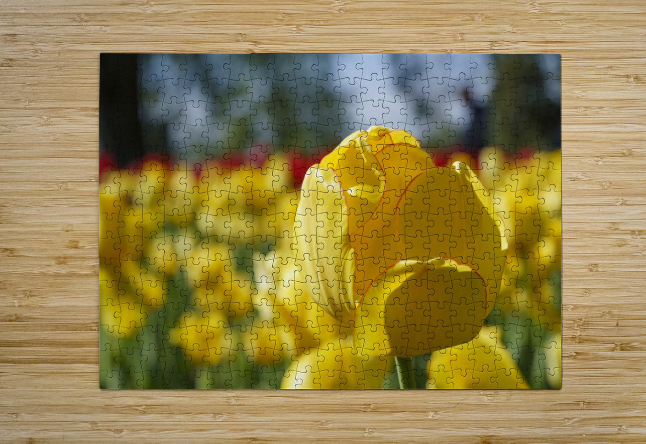 Amongst Others Suzanne Bonin Puzzle printing