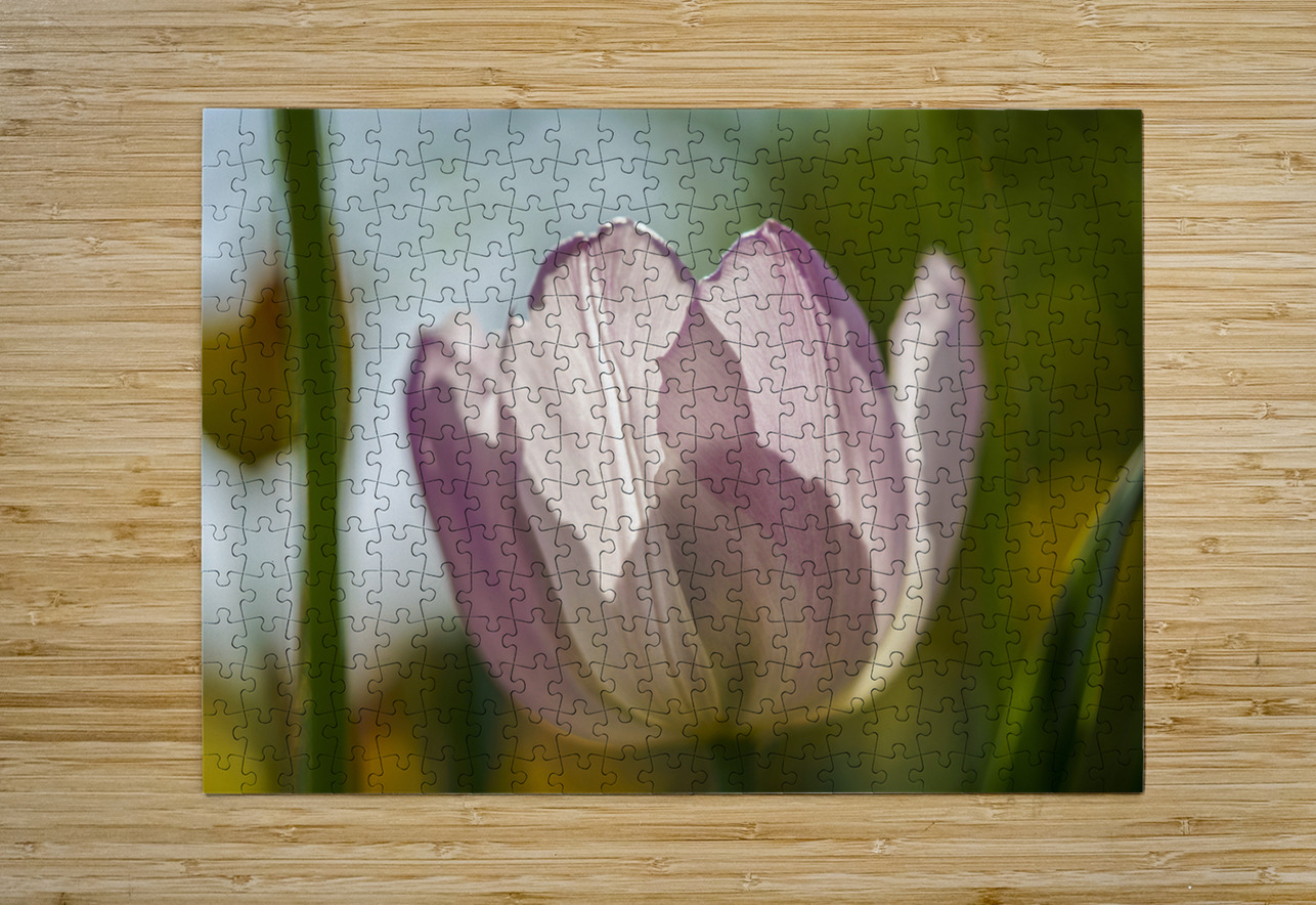 The Glowy One Suzanne Bonin Puzzle printing