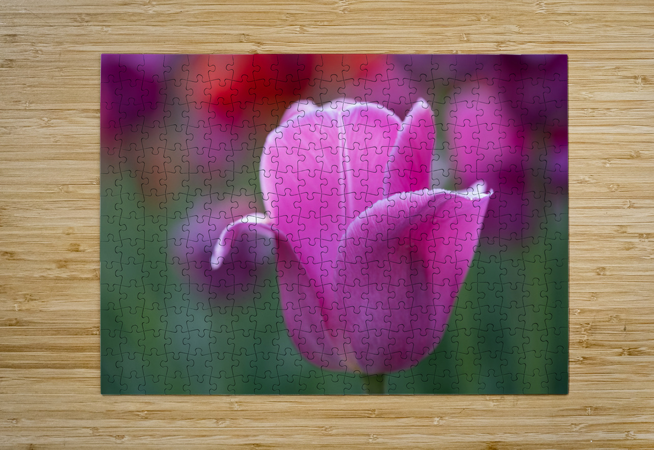 Pretty as a Tulip Suzanne Bonin Puzzle printing