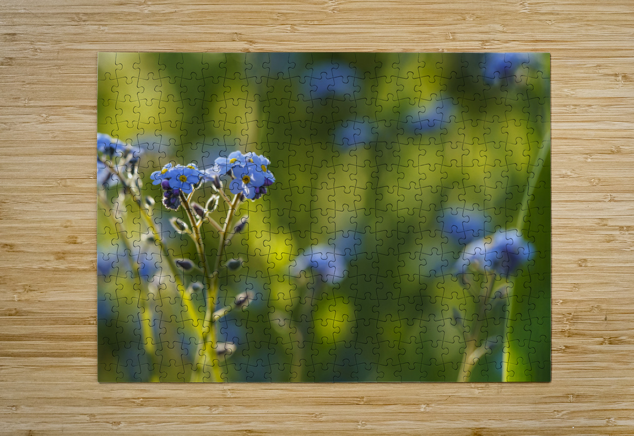 Happy Day Suzanne Bonin Puzzle printing