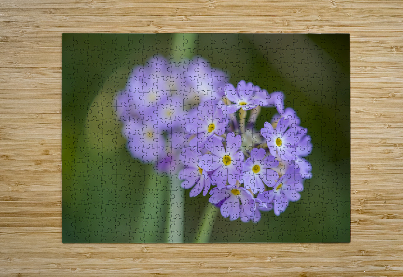 Drumsticks Suzanne Bonin Puzzle printing