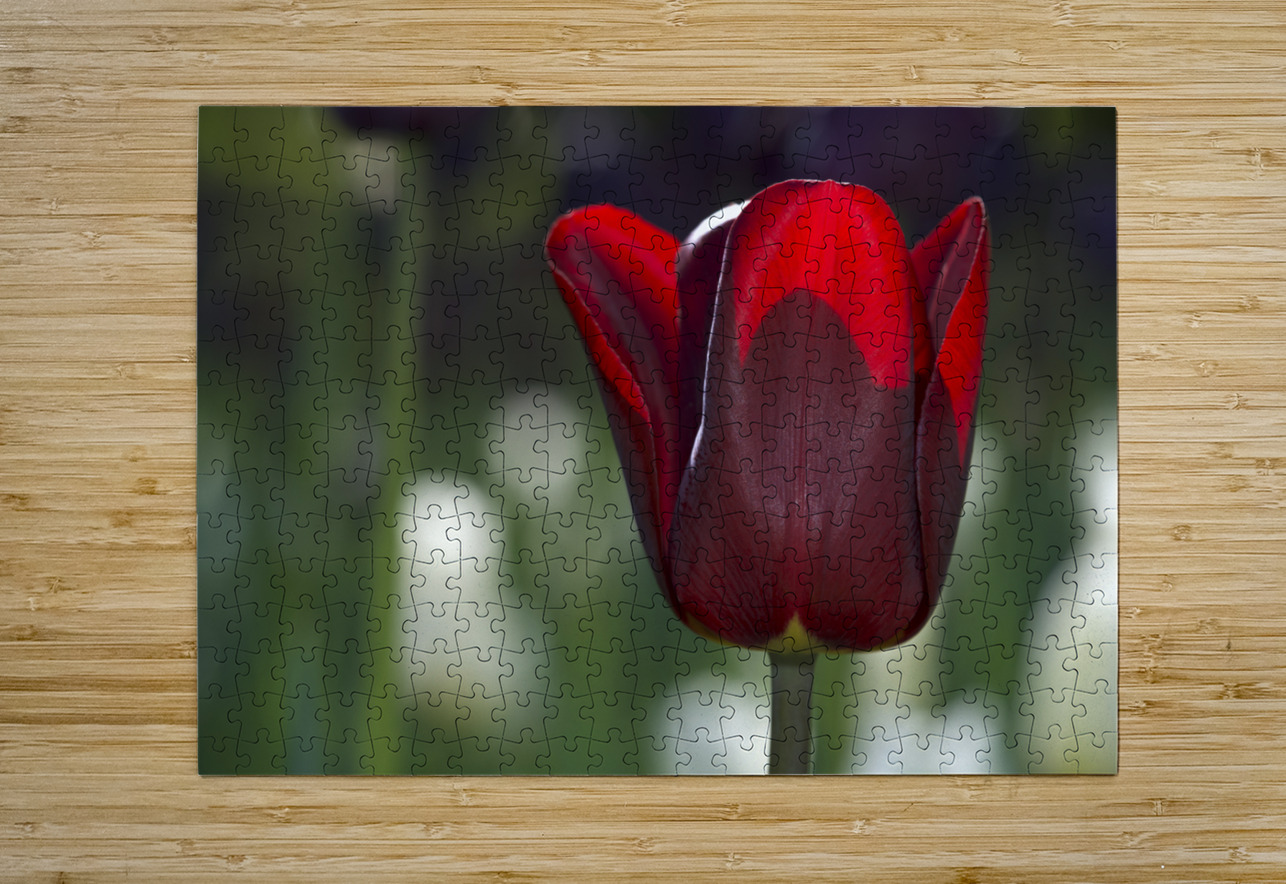 Exquisite Beauty Suzanne Bonin Puzzle printing