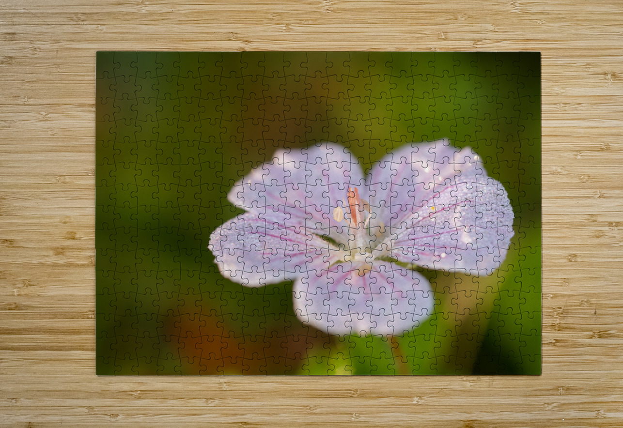 Pretty Pretty Suzanne Bonin Puzzle printing