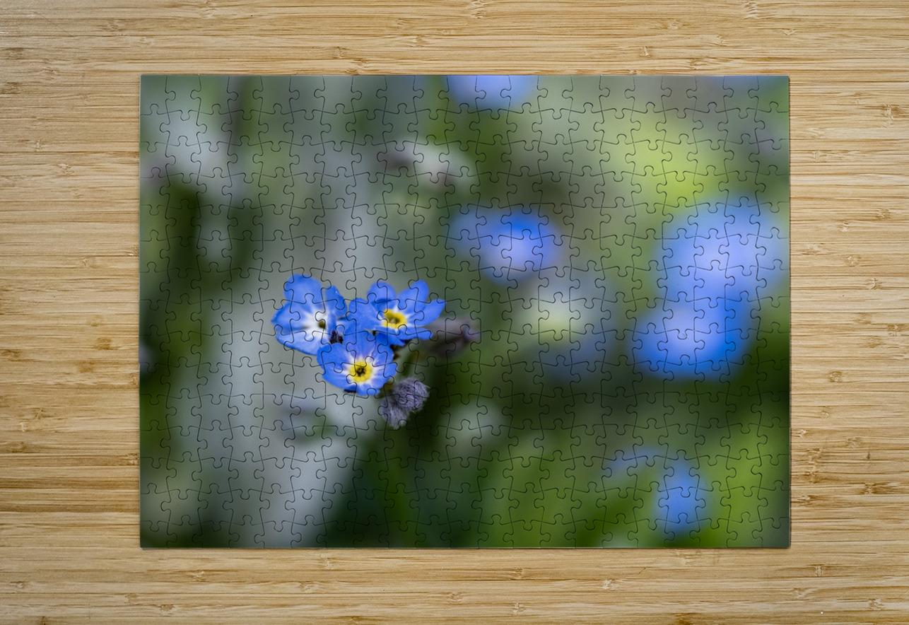 Beauties in Blue Suzanne Bonin Puzzle printing