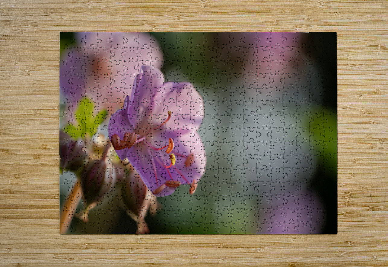 Catching Sun Rays Suzanne Bonin Puzzle printing