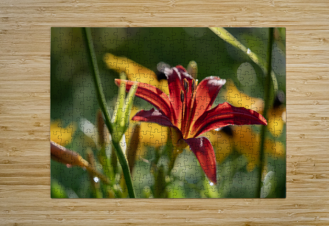 In the Field Suzanne Bonin Puzzle printing