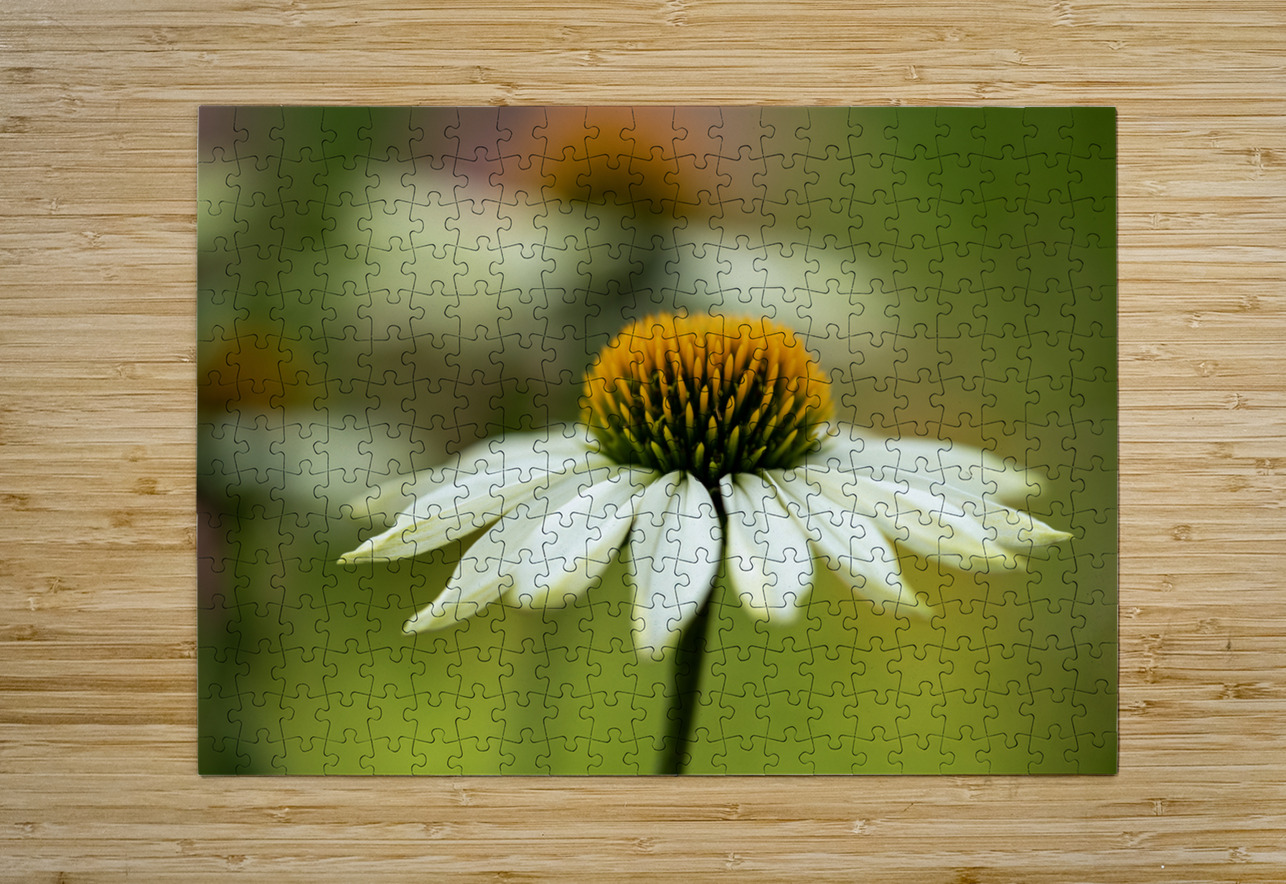 White Swan Suzanne Bonin Puzzle printing