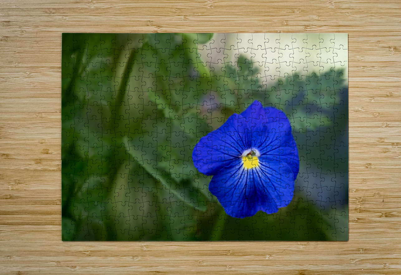 Velvety Blue Suzanne Bonin Puzzle printing