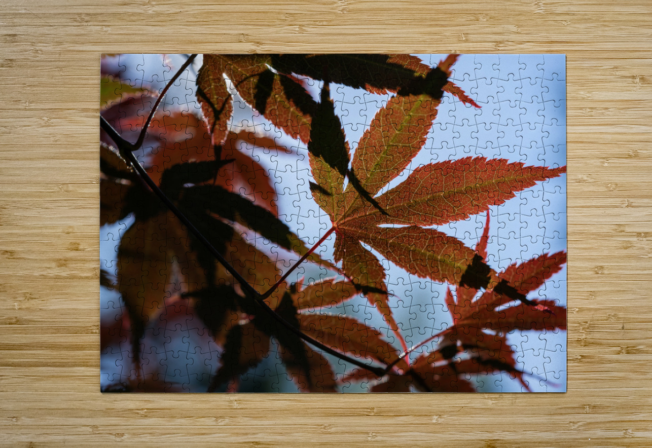Striking Leaves Suzanne Bonin Puzzle printing