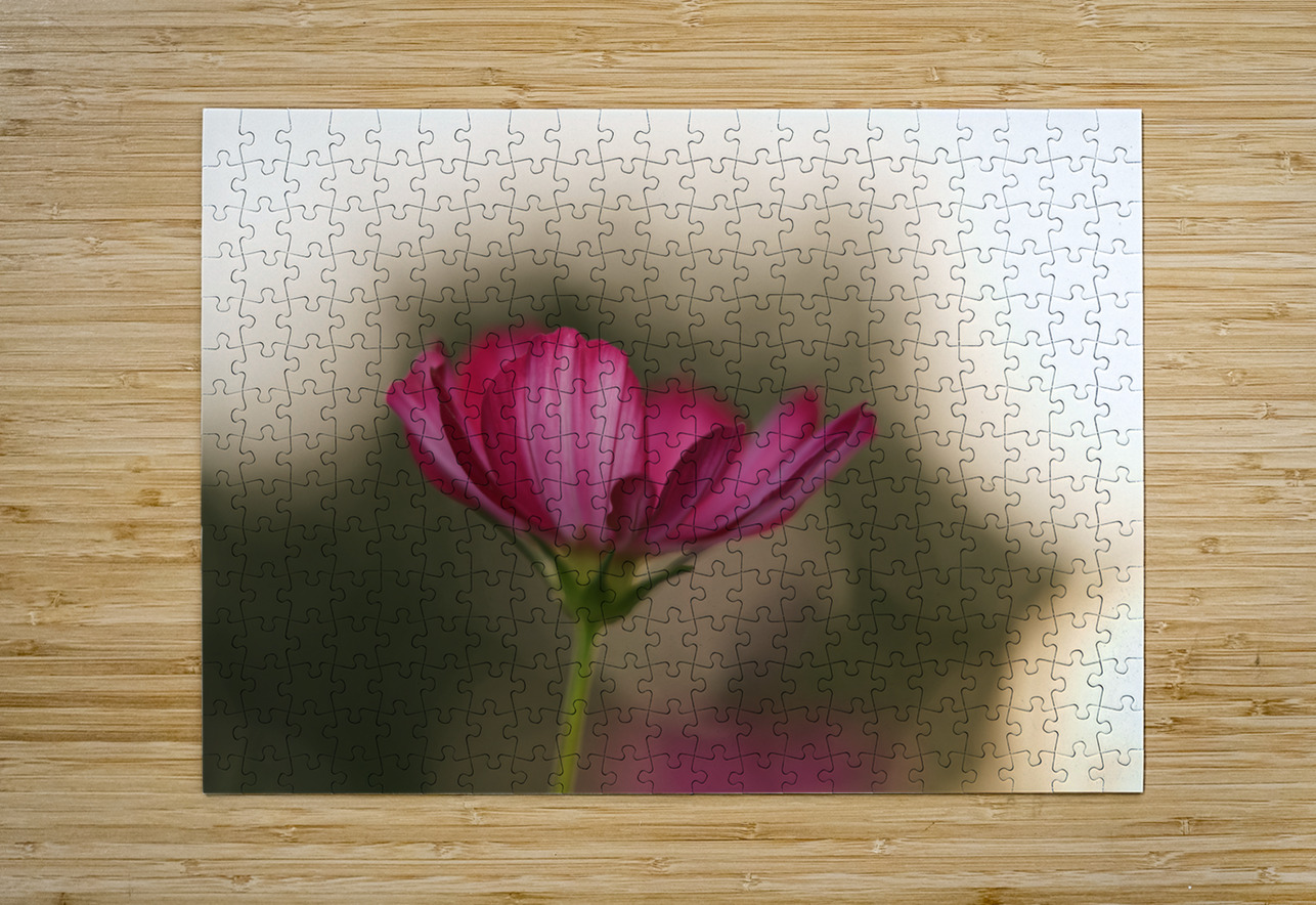 Dreamy State Suzanne Bonin Puzzle printing